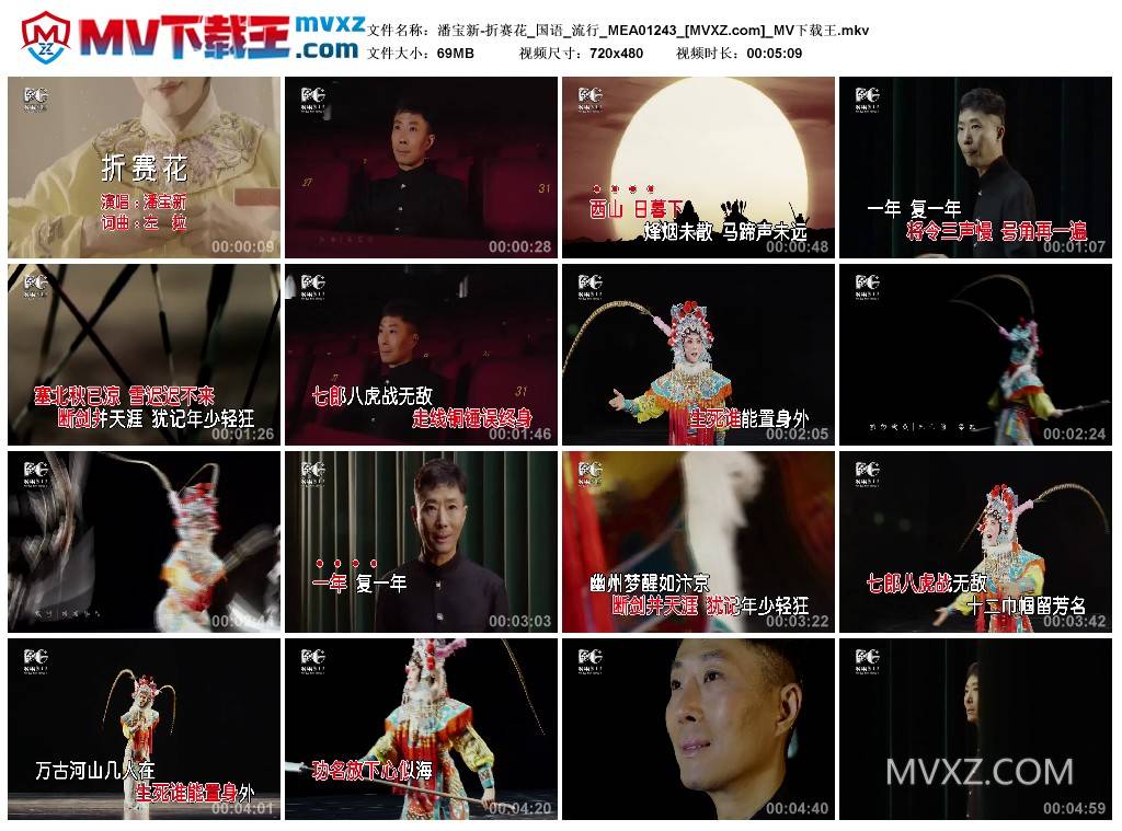 潘宝新-折赛花_国语_流行_MEA01243